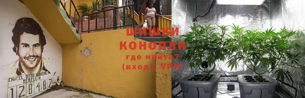 молекула духа Покачи
