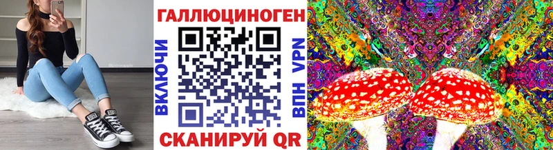 Купить где  Приморск  Галлюциногенные грибы Psilocybine cubensis 